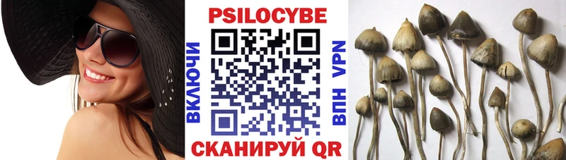 Псилоцибиновые грибы мицелий  мега рабочий сайт  Краснообск 